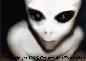alien.gif (216x154x256), Copyright (c)1996, Communion Foundation